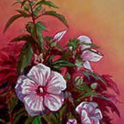 Hibiscus...Oil on Linen...18 x 24.jpg